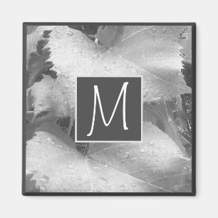 Aimant Photo en noir et blanc de Feuilles de raisin gris