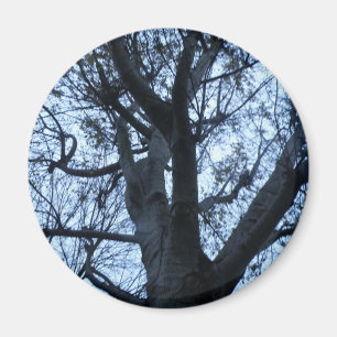 Aimant photo en silhouette d'arbre