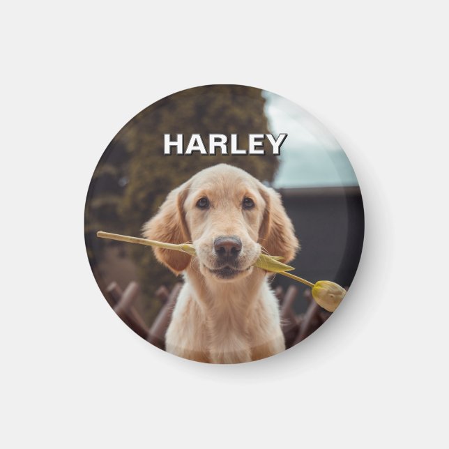 Aimant Photo Et Texte Personnalisés (Devant)