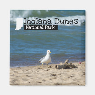Aimant Photo faite sur commande - parc national de dunes