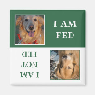 Aimant Photo Fed de Chien blanc vert simple