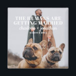 Aimant Photo Funny Chien Enregistrer la date Mariage<br><div class="desc">Photo Funny Chien Enregistrer l'aimant Mariage de date</div>