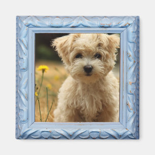 aimant photo instagram