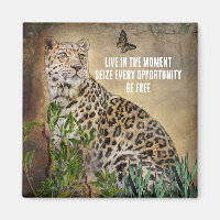 Photo Leopard Butterfly Live in The Moment Citatio