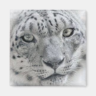 Aimant Photo léopard de neige blanc exotique