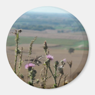 Aimant photo nature et papillon