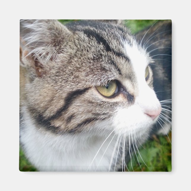 Aimant photo personnalisé pour réfrigérateur | Vot (Devant)