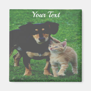 Aimant photo pour animal de compagnie personnalisé