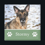 Aimant photo pour animal de compagnie vert personn<br><div class="desc">Aimant photo pour animaux de compagnie vert personnalisé.</div>