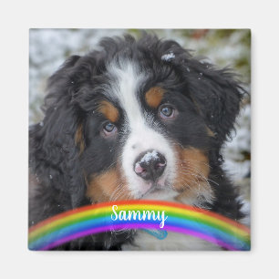 Aimant Photo pour animaux de compagnie - Chien - Chat - M