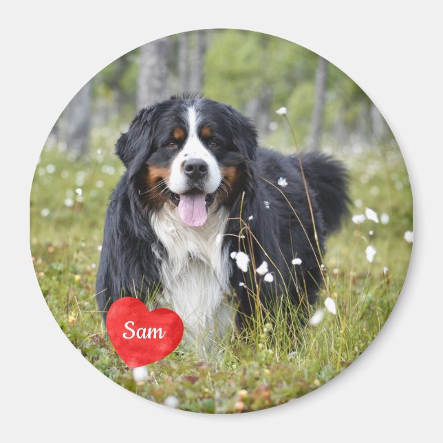 Aimant Photo pour animaux de compagnie - Chien - Chat - M (Devant)