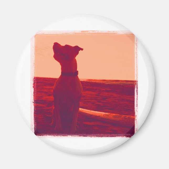 Aimant Photo Roxy par Daniela (Devant)