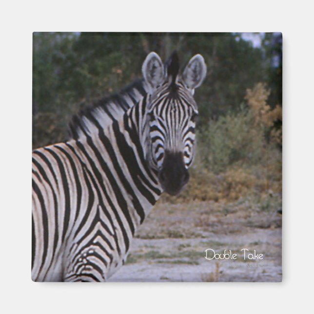 Aimant Photo Zebra Double Take (Devant)