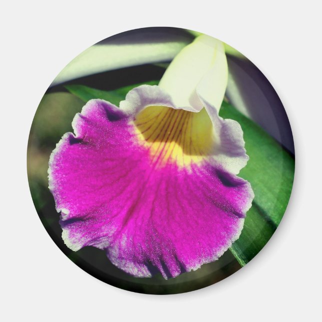 Aimant Photographie de fleur d'orchidée délicate  (Devant)