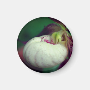 Aimant Photographie de la Fleur de la Dame Blanche