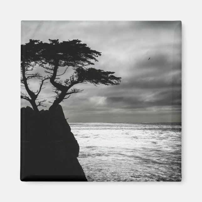 Aimant Photographie nature noir et blanc (Devant)