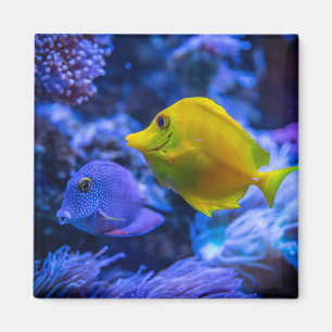 Aimant Photos aquatiques nautiques Photographie d'animaux