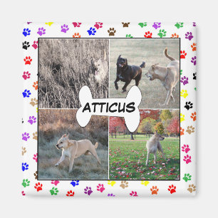 Aimant Photos de Chien Personnalisées Empreintes de patte
