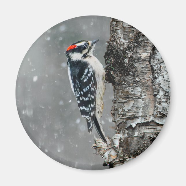 Aimant Pic Downy en neige - Photo originale (Devant)