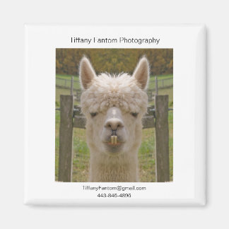 Aimant Pièce Promo Alpaca