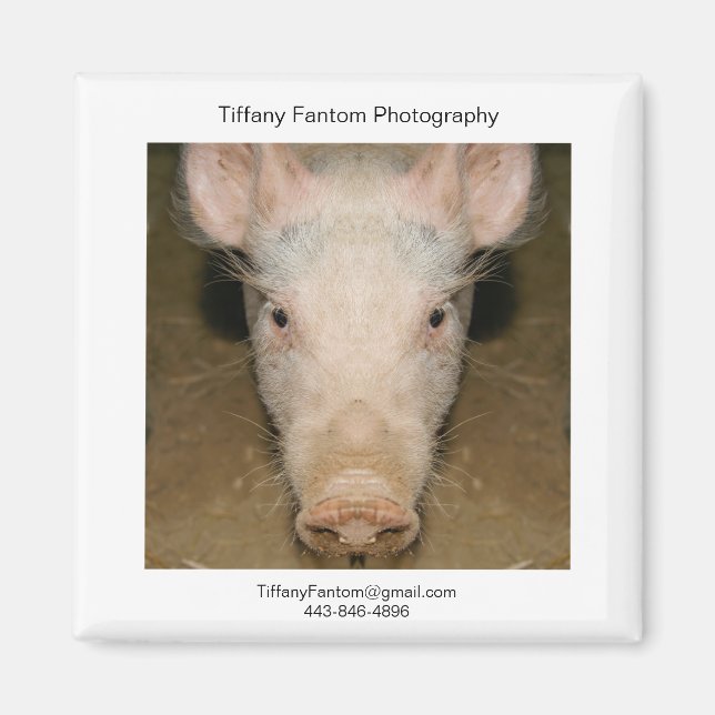 Aimant Pièce Promo de porc (Devant)