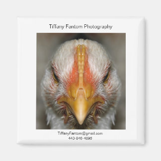 Aimant Pièce Promo poulet