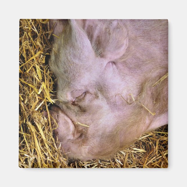 AIMANT PIÈCES (Devant)