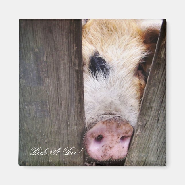 AIMANT PIÈCES (Devant)