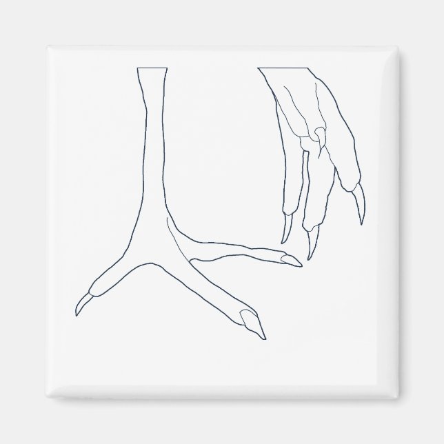 Aimant pieds de poulet (Devant)