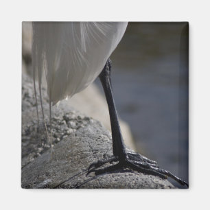 Aimant Pieds d'oiseau de grue blanche