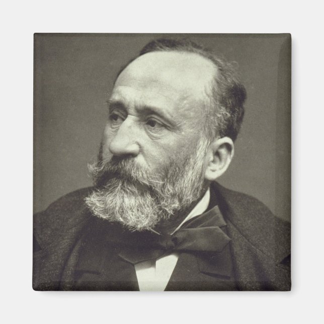 Aimant Pierre Cecile Puvis de Chavannes (1824-98), de ' (Devant)