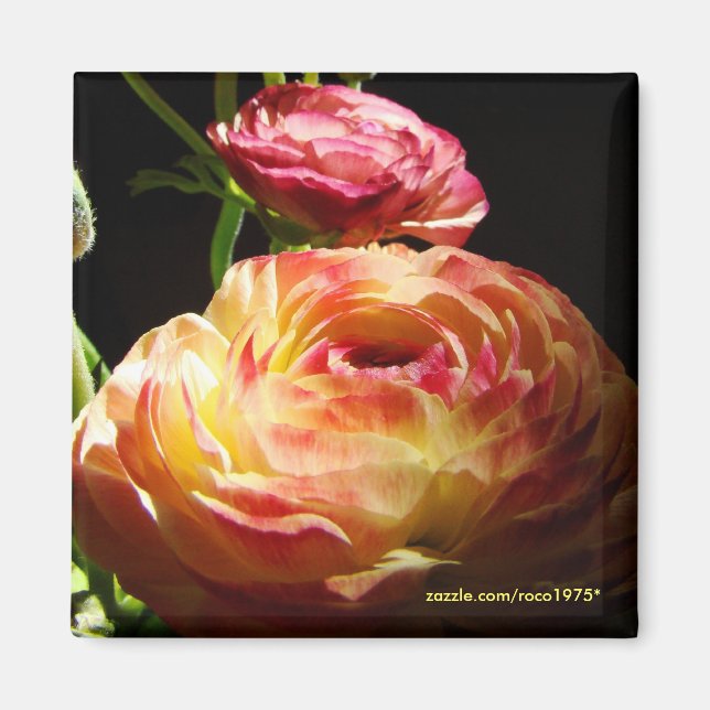 Aimant Pierres à pas (Devant)