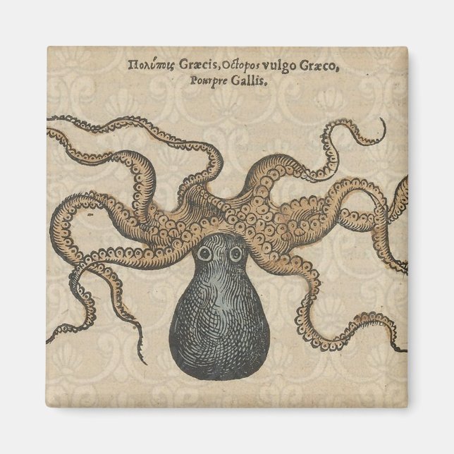 Aimant Pieuvre Kraken Antique Faune Marine Côtière (Devant)