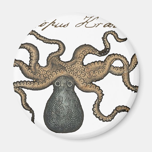 Aimant Pieuvre Kraken Antique Faune Marine Côtière (Devant)