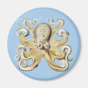 Aimant Pieuvre vintage Ernst Haeckel Vie marine nautique