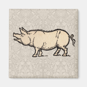 Aimant Pig Antique Piggy Cute Illustration Vintage
