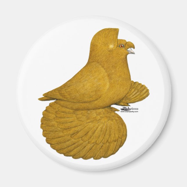 Aimant Pigeon Trompette Jaune (Devant)