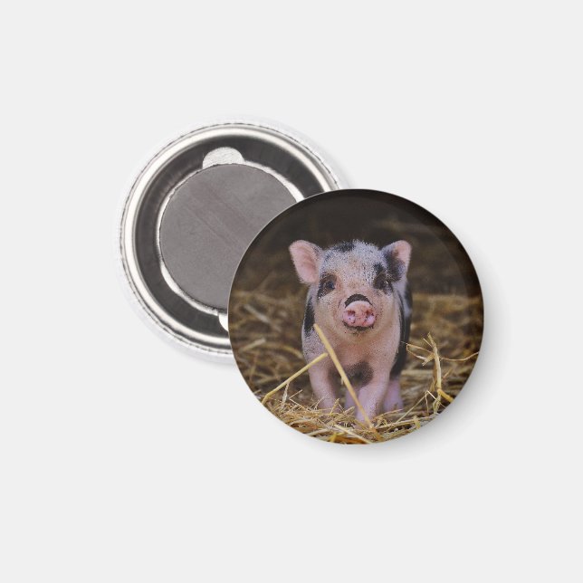 Aimant Piglet rose avec points noirs en paille (Recto/Verso)