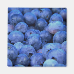 Aimant pile de bleuets