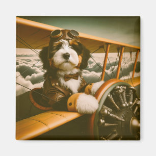 Aimant pilote bernedoodle