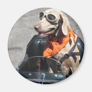 Aimant Pilote facile