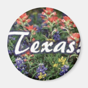 Aimant Pinceaux texans Bluebonnets
