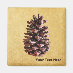 Aimant Pine Cône Sur Papier Vintage