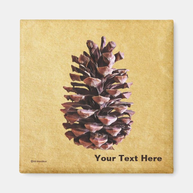 Aimant Pine Cône Sur Papier Vintage (Devant)