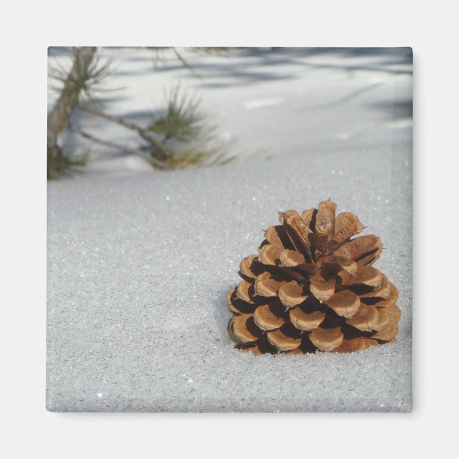 Aimant Pinecone sur l'aimant de neige (Devant)
