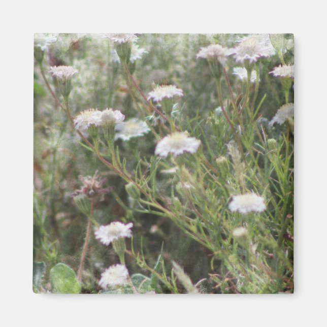 Aimant Pingouin blanc Fleurs sauvages Aquarelle numérique (Devant)