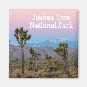Aimant Pink Blue Joshua Tree National Park Souvenir