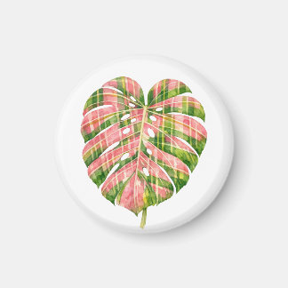 Aimant Pink Tartan Scottish Monstera Watercolour Botanic