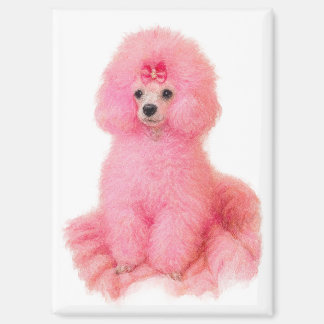 Aimant pink toy poodle magnet, pink poodle, refrigerator