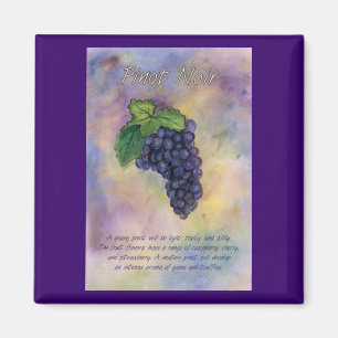 Aimant Pinot Noir aux raisins de vin
